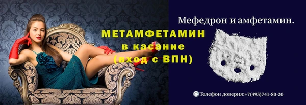 шишки Ельня