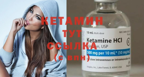 шишки Ельня