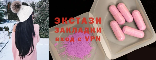 шишки Ельня