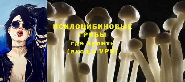 шишки Ельня