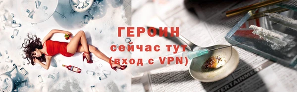 шишки Ельня