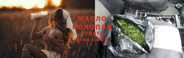 шишки Ельня