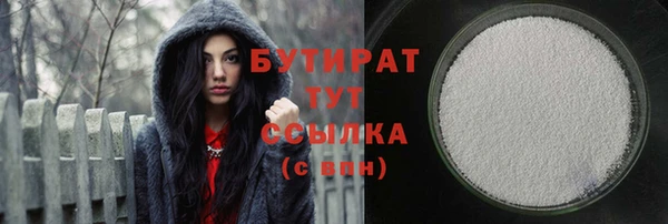 шишки Ельня