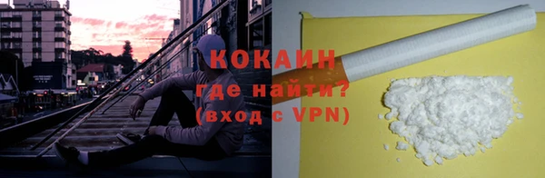 шишки Ельня