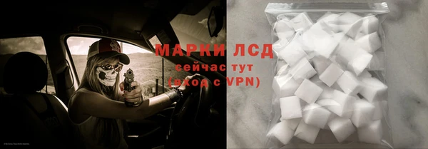 шишки Ельня
