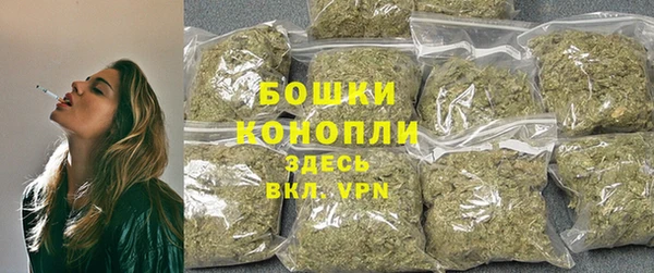 прущие крисы Елизово