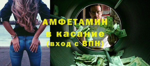 шишки Ельня