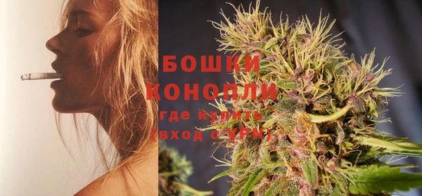 прущие крисы Елизово