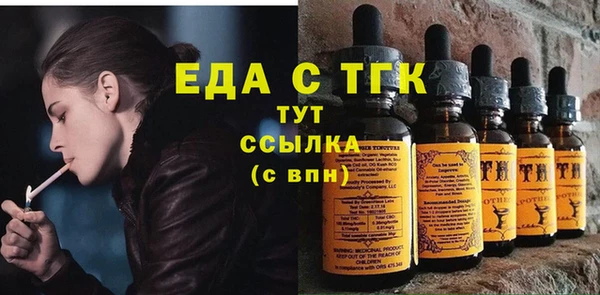 шишки Ельня