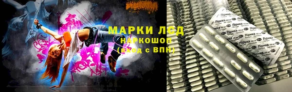 прущие крисы Елизово