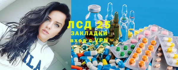 прущие крисы Елизово