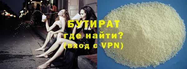 шишки Ельня