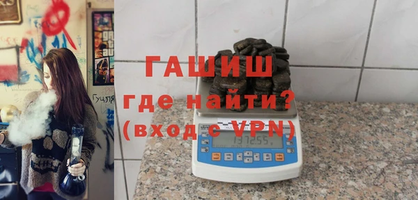 шишки Ельня