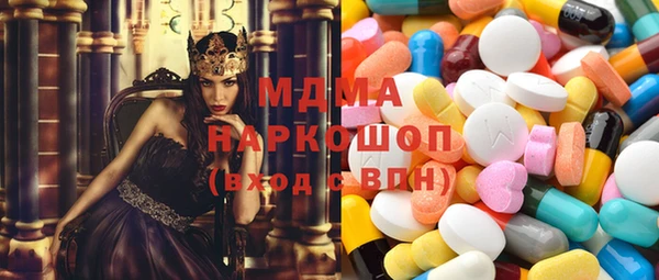 шишки Ельня