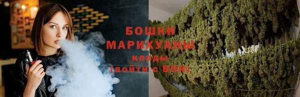 прущие крисы Елизово