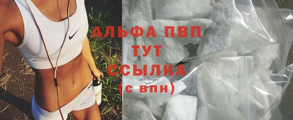 шишки Ельня
