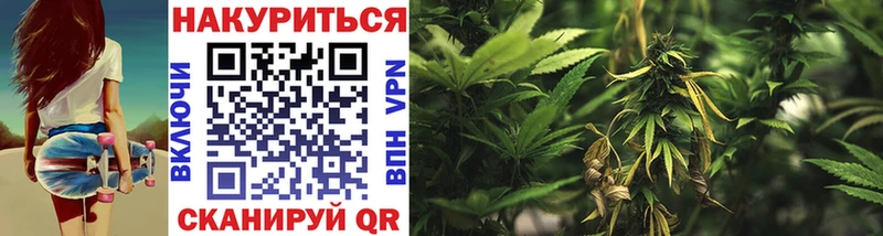 Купить где  Новомичуринск  Бошки Шишки THC 21% 